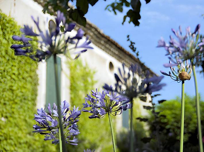 Location de vacances pour 3 personnes, avec jardin, animaux acceptés dans Drôme provençale - 3