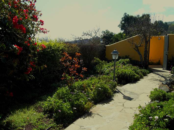 Casa rural para 2 personas, con terraza y jardín en El Rosario - 3