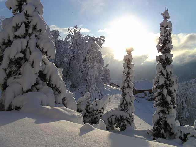 Bed & Breakfast "La Val" Trin - Doppelzimmer mit Etagendusche/Wc in Trin Dorf, Trin