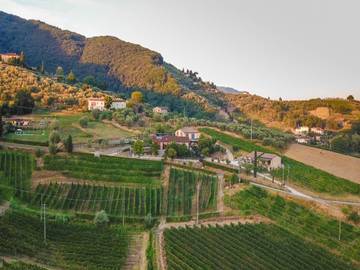 Agriturismo per 6 Persone in Lucca, Provincia di Lucca, Foto 2