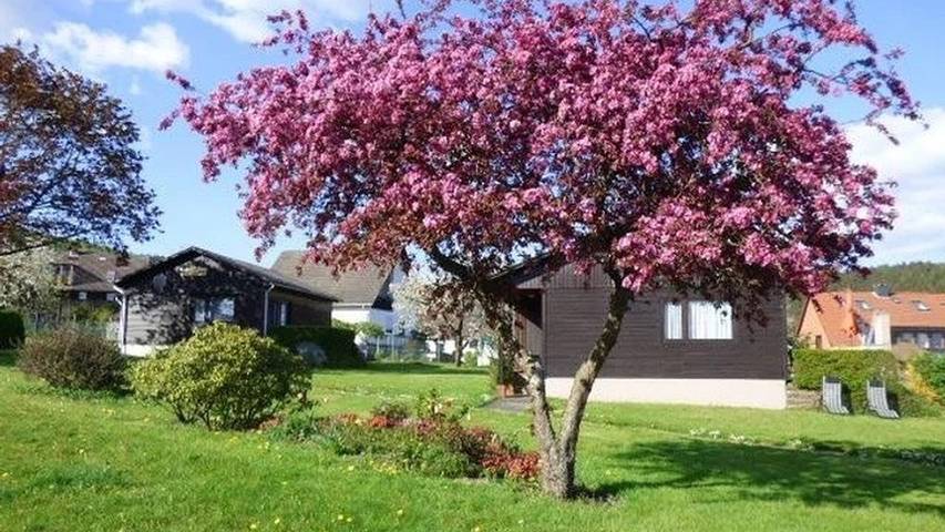 Ferienhaus für 4 Personen, mit Garten, mit Haustier im Weserbergland