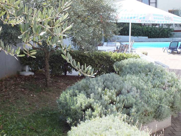 Ganze Ferienwohnung, Ferienwohnung mit Außenpool  in Zambratija, Umag und Umgebung