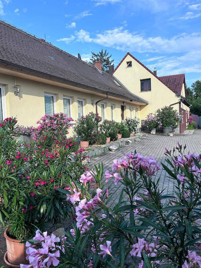 Lodge für 4 Personen, mit Terrasse und Whirlpool sowie Garten und Sauna
