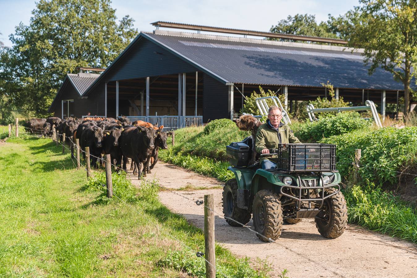 Erve Woolderink — Reggehooiberg in Wierden, Twente