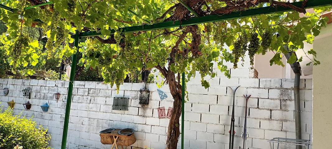 Casa rural para 3 personas, con terraza además de jardín y vistas en Provincia de Madrid - 4