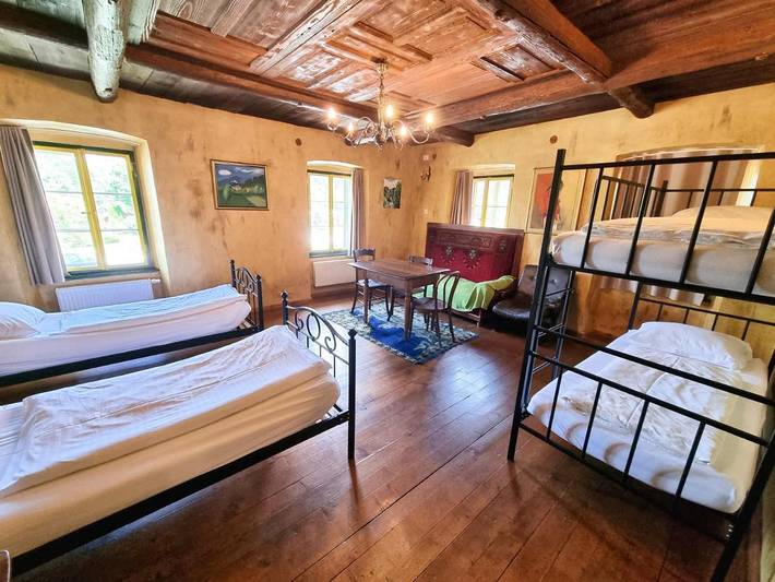 Chambre d’hôte pour 2 personnes, avec jardin et vue, animaux acceptés à Kamnik - 4