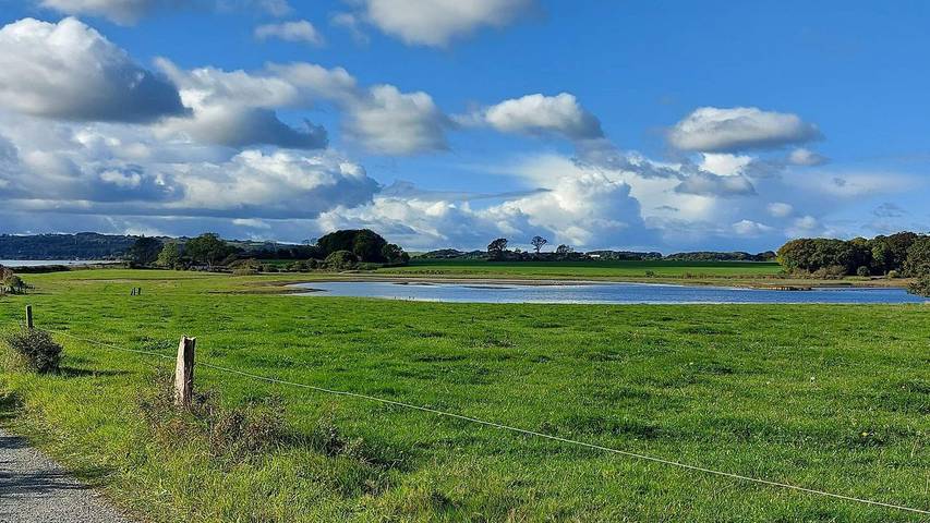 Ferienhaus mit Meerblick für 7 Personen, mit Terrasse, mit Haustier in Südjütland - 2