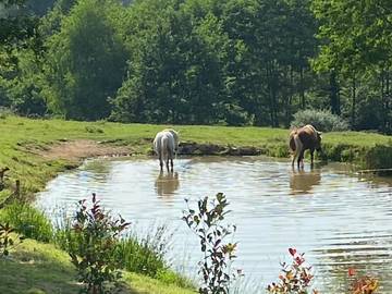 Location de vacances pour 4 personnes, avec vue et jardin, animaux acceptés à Saint-Germain-les-Vergnes
