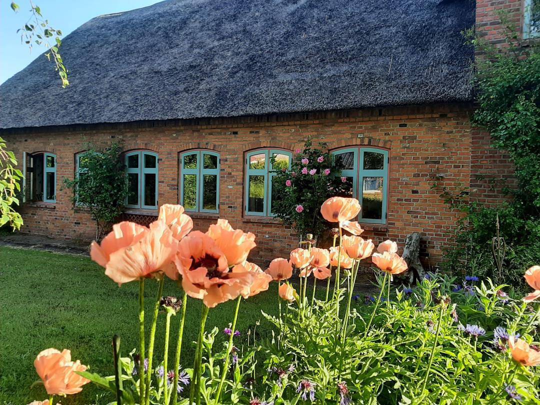 Ganze Wohnung, Feriendomizil Nordfriesland Pur in Braderup, Grünes Binnenland