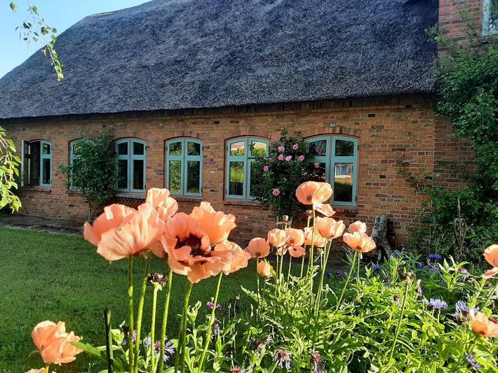 Apartamento entero, Feriendomizil Nordfriesland Pur in Braderup, Grünes Binnenland