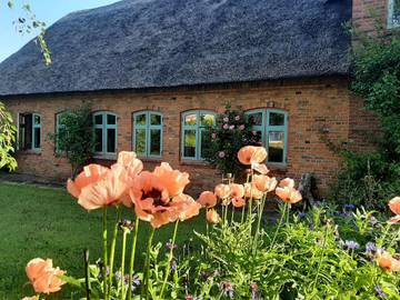 Ferienwohnung für 5 Personen in Braderup, Grünes Binnenland, Bild 1