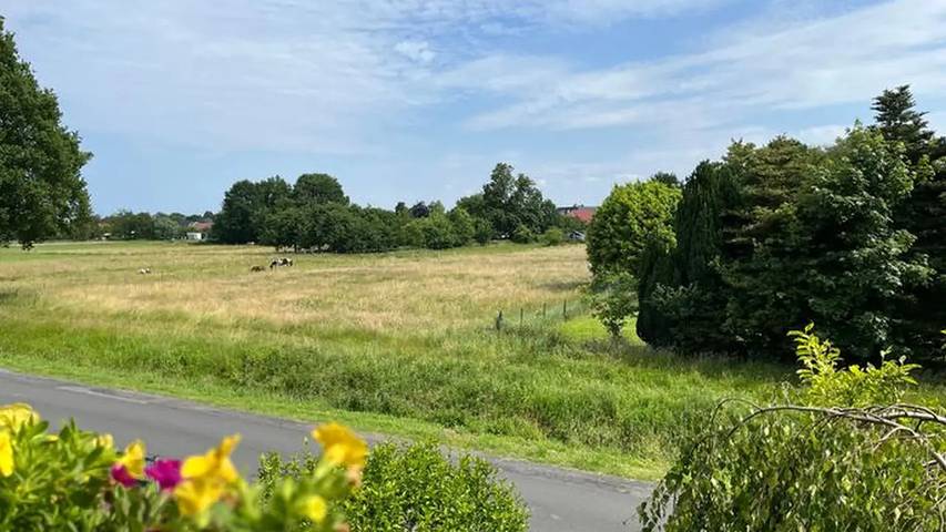 Gîte pour 3 personnes, avec jardin, animaux acceptés à Rhauderfehn - 3