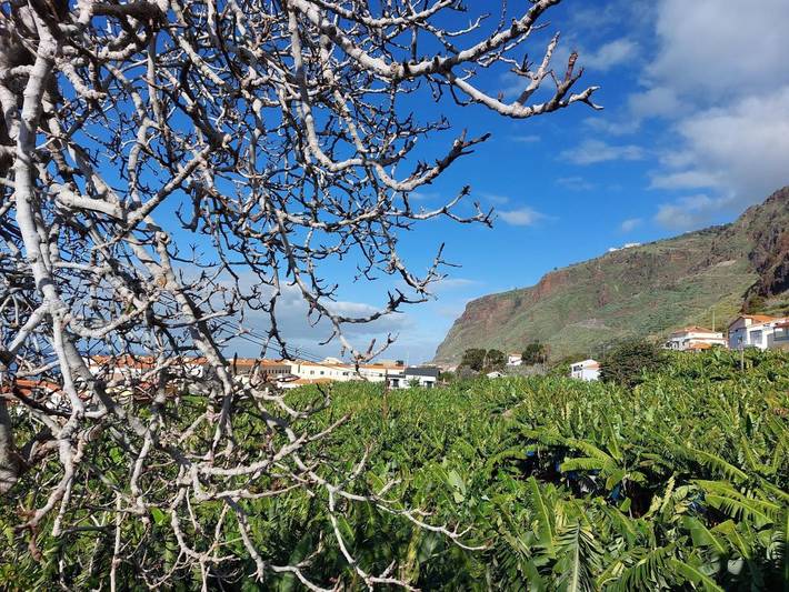 Gîte pour 3 personnes, avec balcon, animaux acceptés à Paul Do Mar - 3