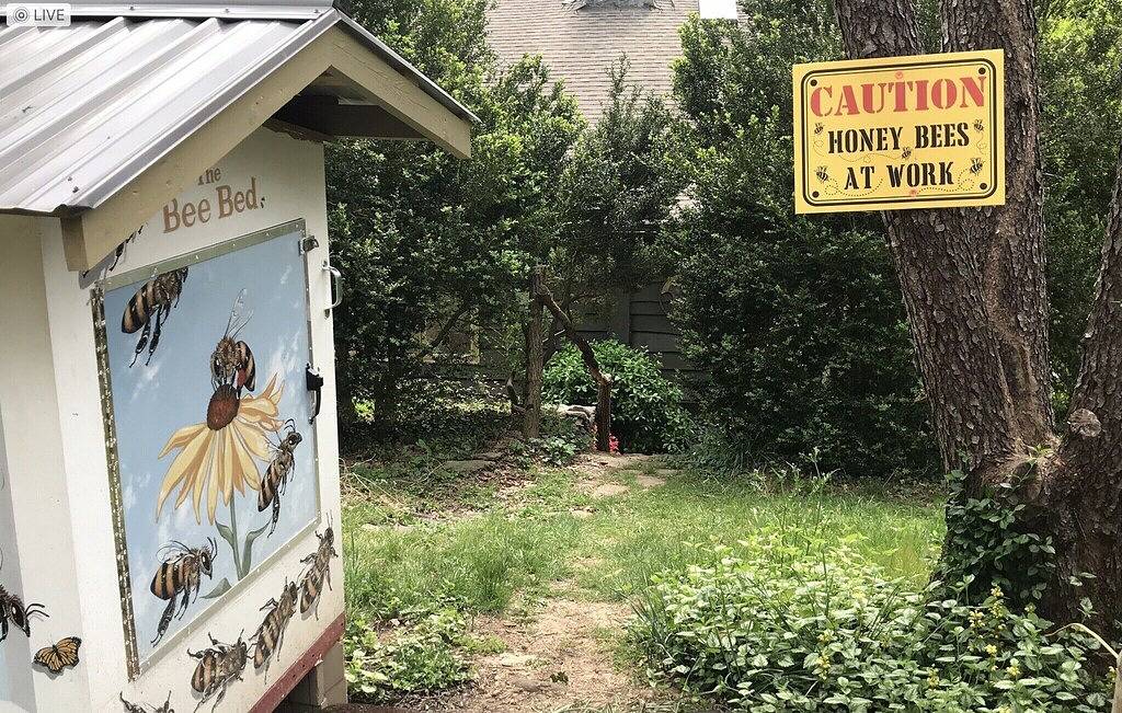 Süße Hütte im Wald, 10 min nach Ashvl. Ein gemütliches Artist Retreat mit schönem Garten in Stoney Knob, Buncombe County