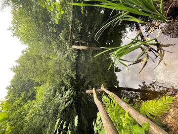 Ferienwohnung für 6 Personen in Gemeinde Münichreith-Laimbach, Waldviertel, Bild 3