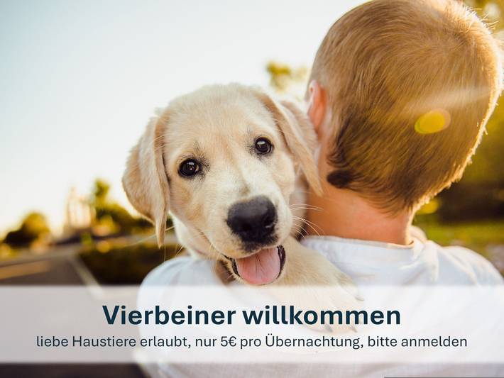 Ferienpark für 4 Personen, mit Garten und Terrasse, kinderfreundlich an der Nordsee - 3