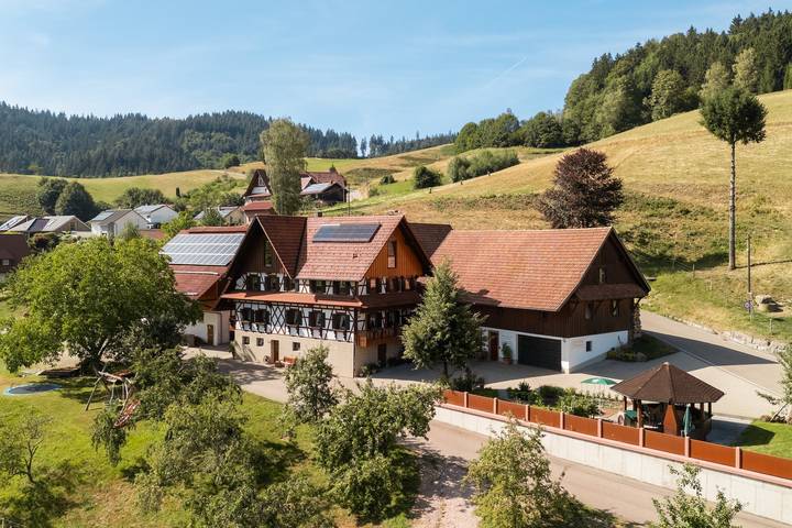 Ganze Wohnung, Apartment „Ferienwohnung Kasimir Hof“ mit Bergblick, Gemeinschaftsgarten und WLAN in Seebach (Ortenaukreis), Achertal