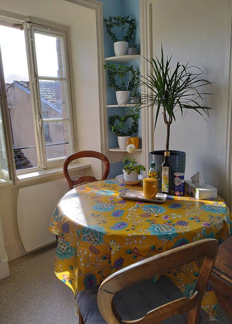 Appartement entier, Gîte 1 à 4p, centre Langeac, au calme, pkg in Langeac, Massif central