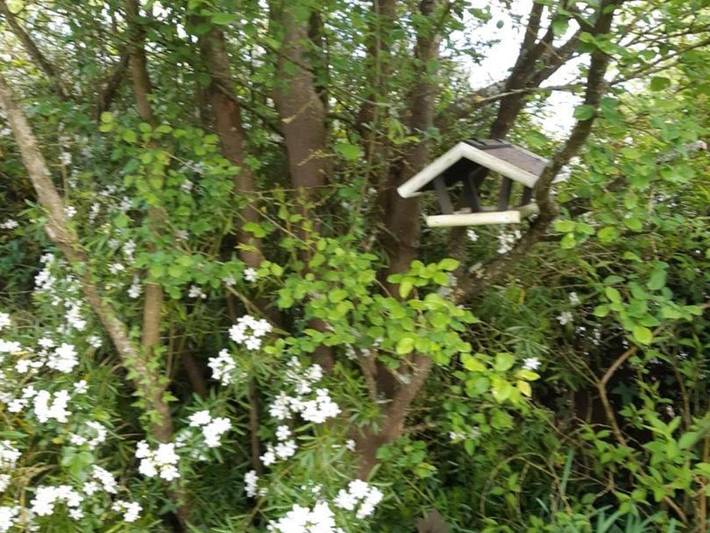 Location de vacances pour 4 personnes, avec terrasse et jardin à Luzillé - 2