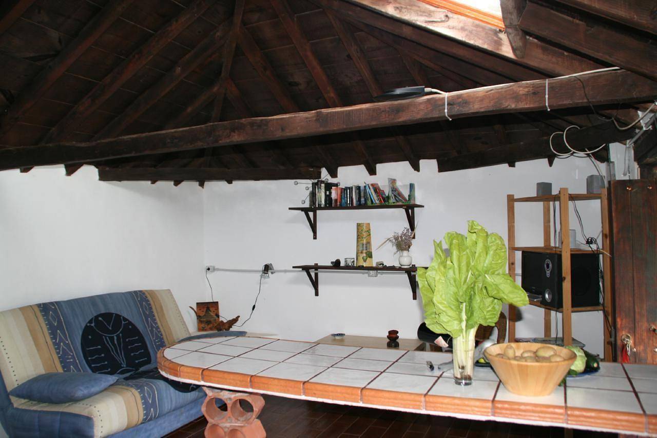 Beautiful finca Cueva del Viento with small garden in Cueva del Viento, Icod de los Vinos