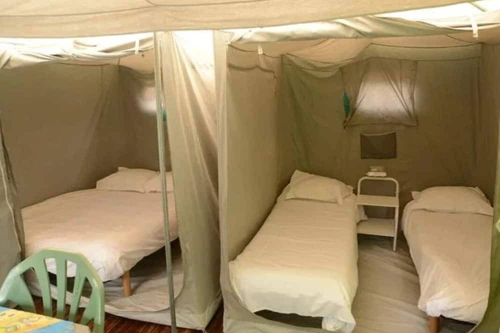 Zecamping 3* animé piscine animaux acceptés hammam mobil-home 21m2 in Buis-les-Baronnies, Région de nyons