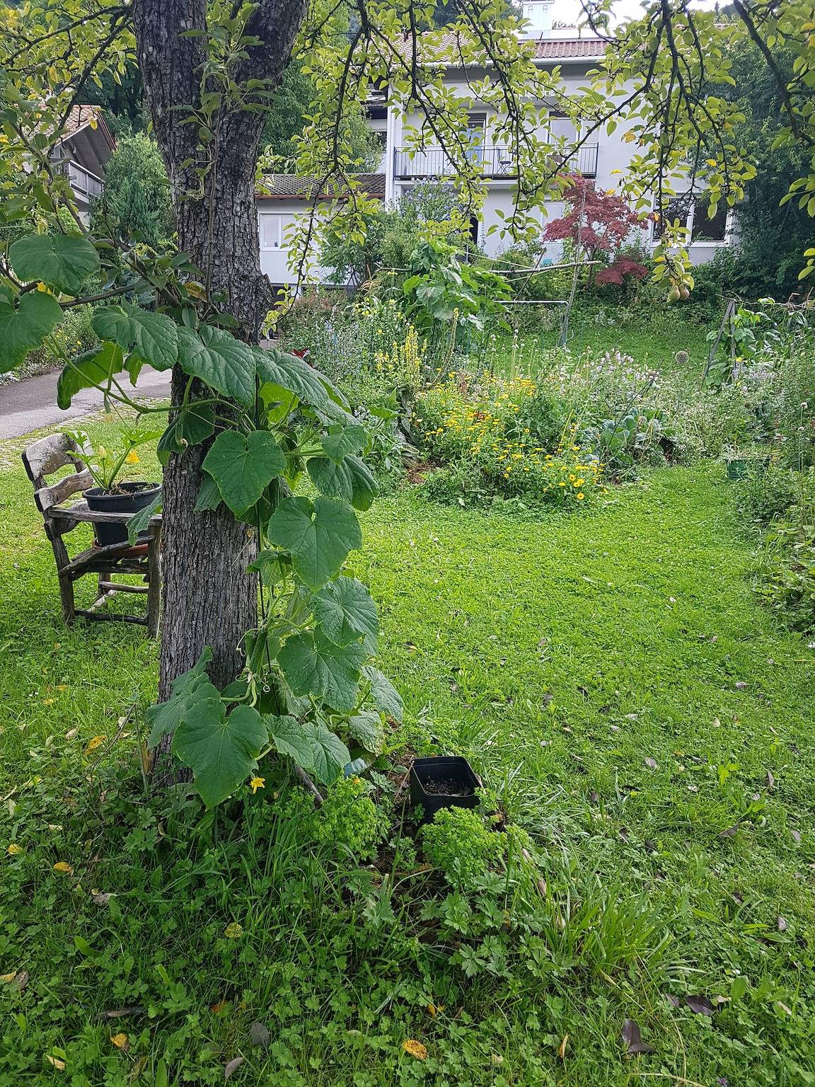 Ganze Ferienwohnung, Sonnenhaus - Wohnung on top 80 qm mit Balkon in Siegsdorf, Bayerische Alpen