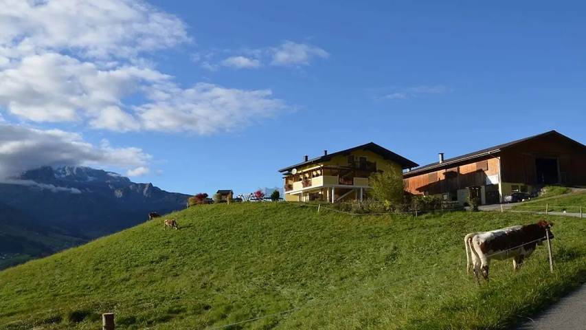 Ferienhaus für 3 Personen, mit Balkon und Garten in Bischofshofen - 3