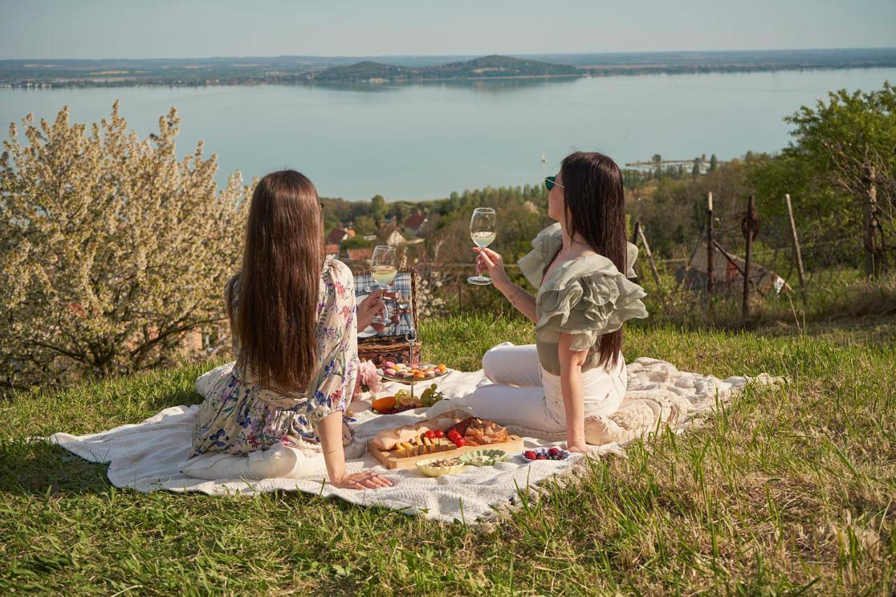 Top Hill Balaton in Badacsonytomaj, Balaton Region