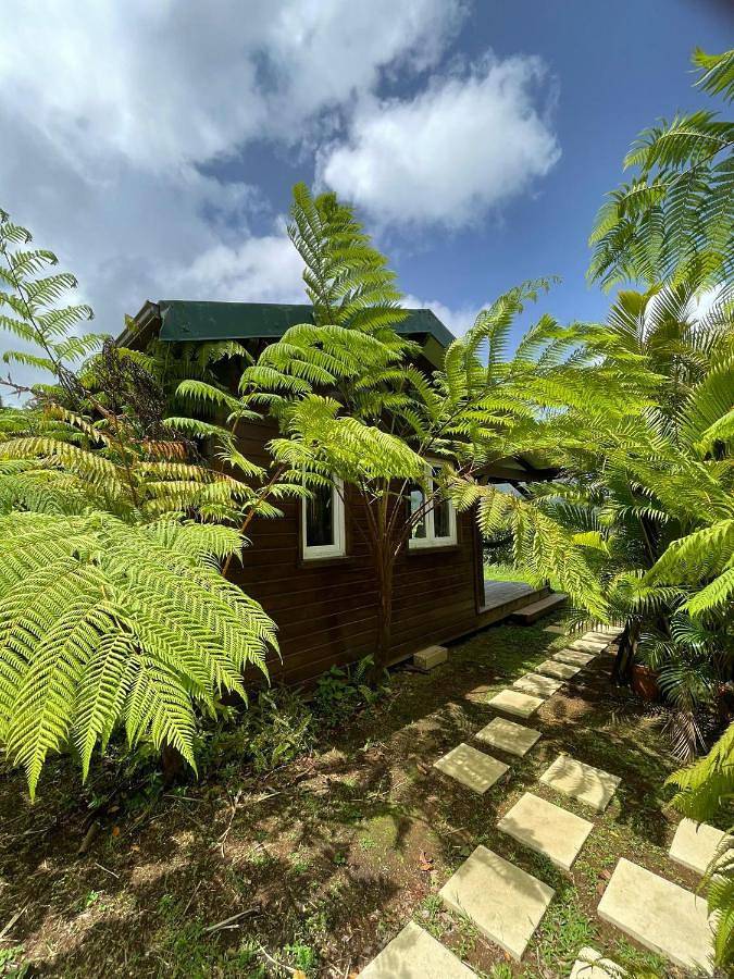 Chalet pour 2 personnes, avec jardin ainsi que vue et terrasse - 1
