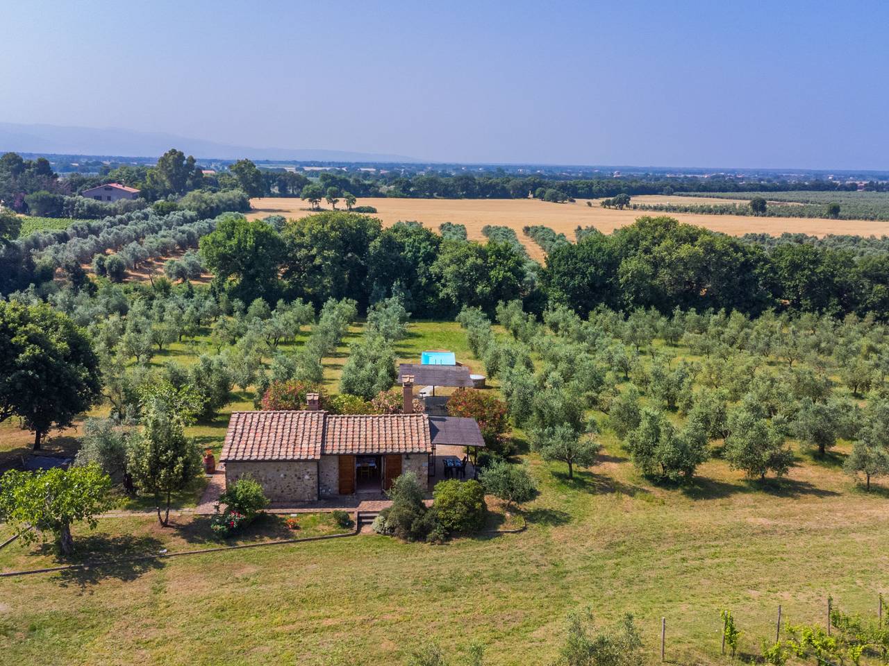 Rustico in Bibbona, Etruscan Kyste