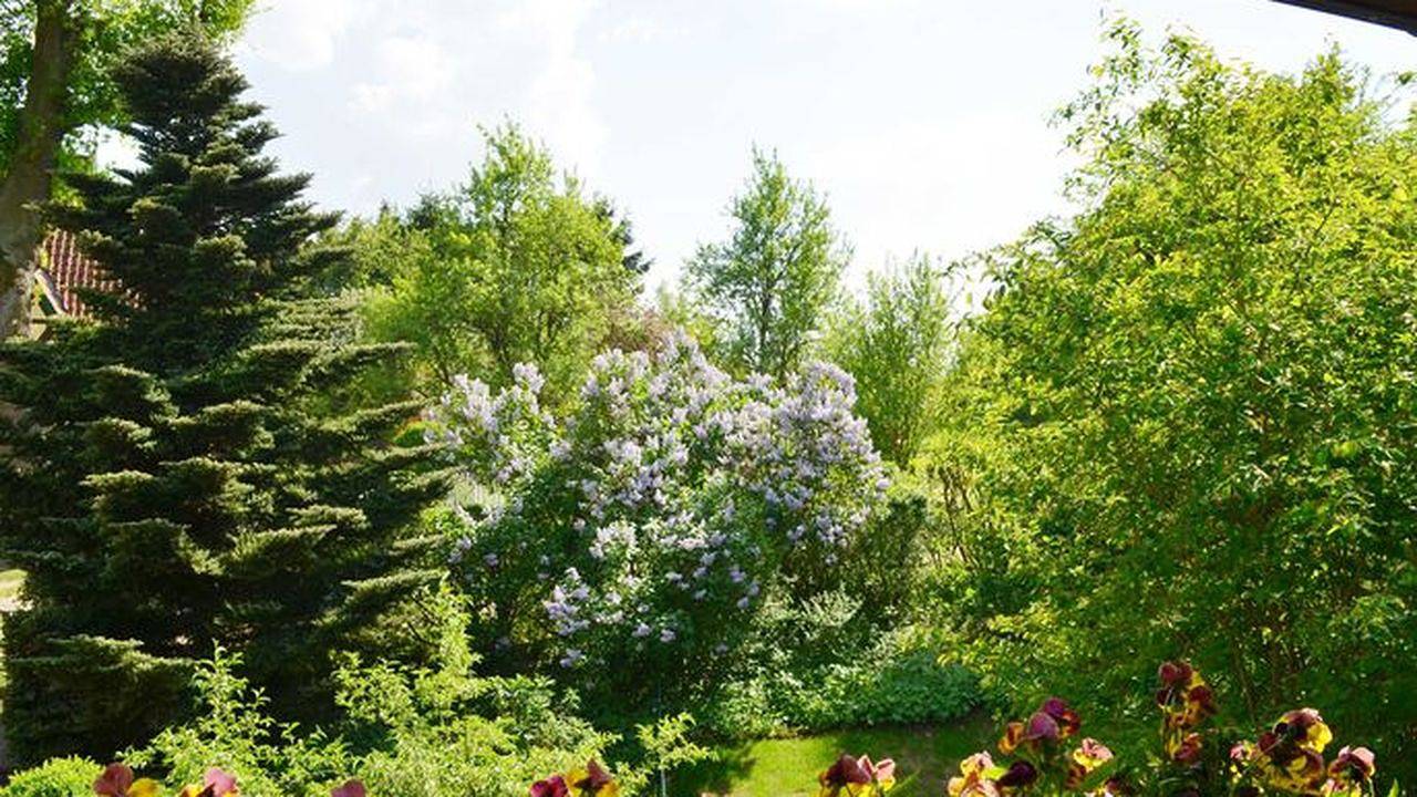 Ganze Ferienwohnung, Ferienwohnung für 3 Personen (60 m²) in Bad Bevensen in Bad Bevensen, Landkreis Uelzen