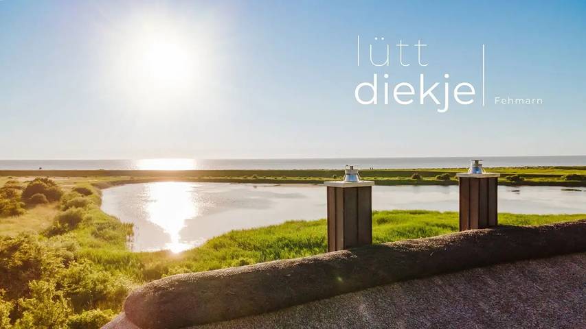 Ferienhaus für 4 Personen, mit Garten und Terrasse sowie Sauna, mit Haustier in Westermarkelsdorf