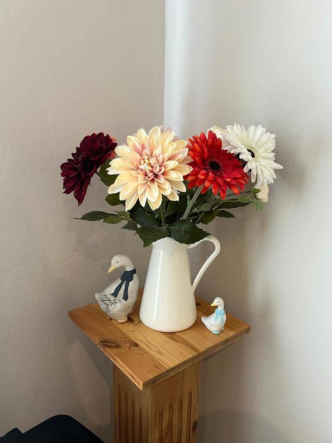 Ferienwohnung für 6 Personen, mit Garten in Carinerland - 2