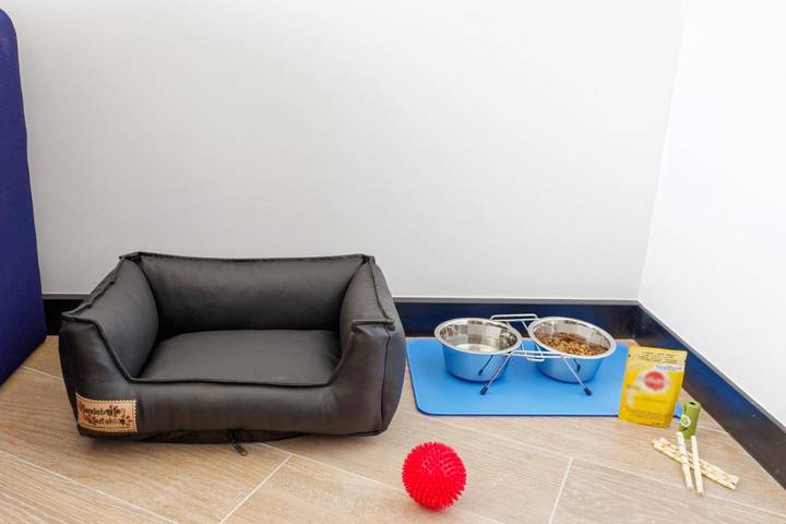 Hôtel pour 4 personnes, avec terrasse ainsi que sauna et vue à Roissy-en-France - 3