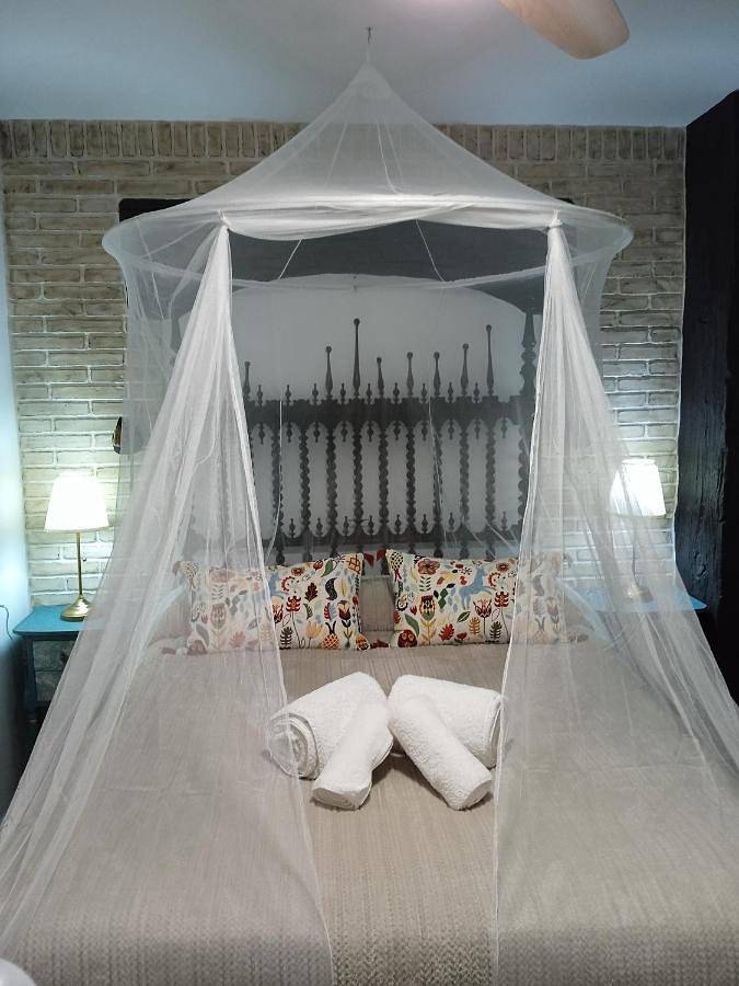 Casa rural para 10 personas, con jardín además de vistas y piscina, Se admiten mascotas en El Bosque - 4