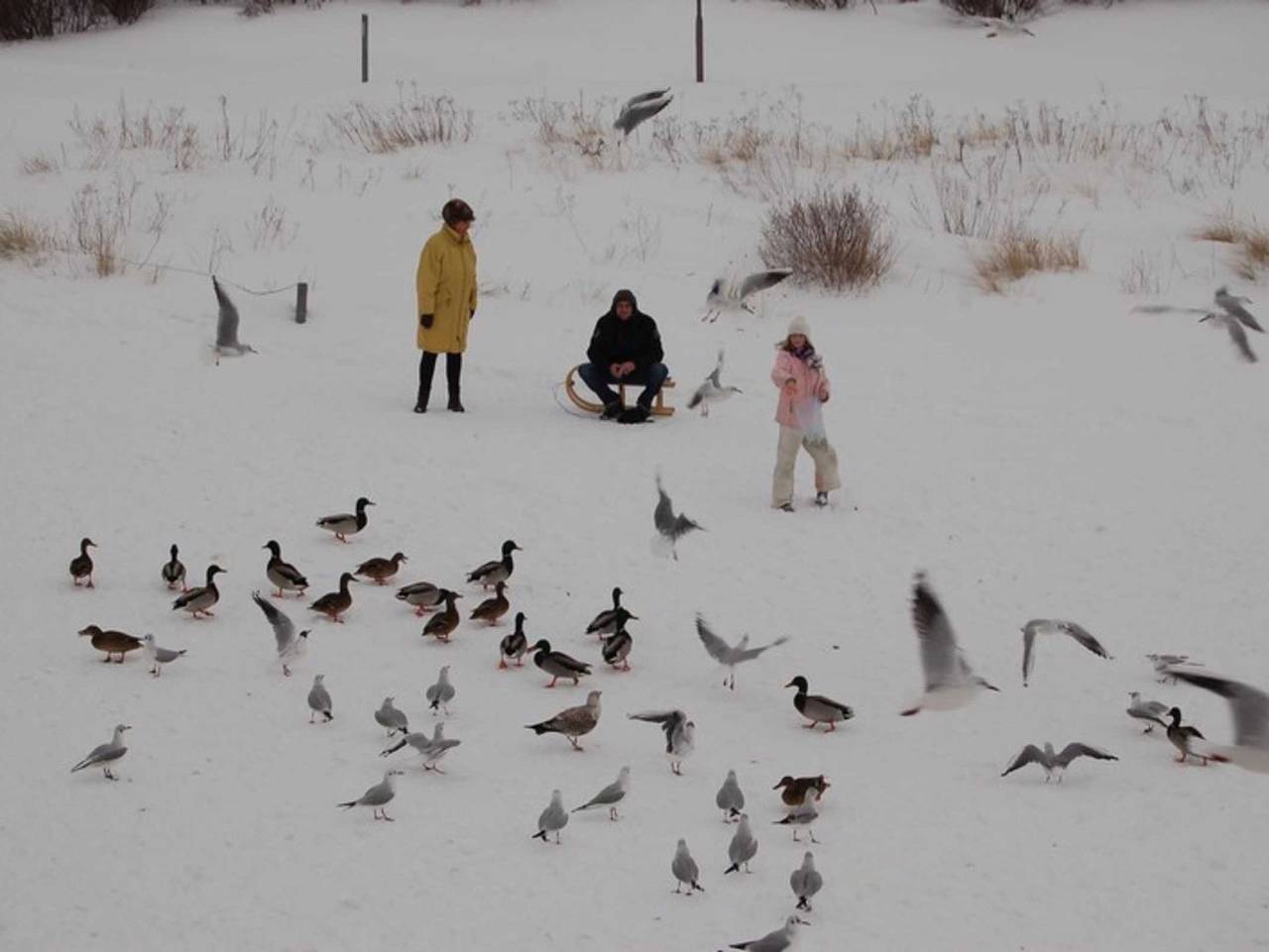 Ganze Ferienwohnung, ! Neu ! Ferienhaus Binz - Ferienwohnung 3 in Binz, Rügen