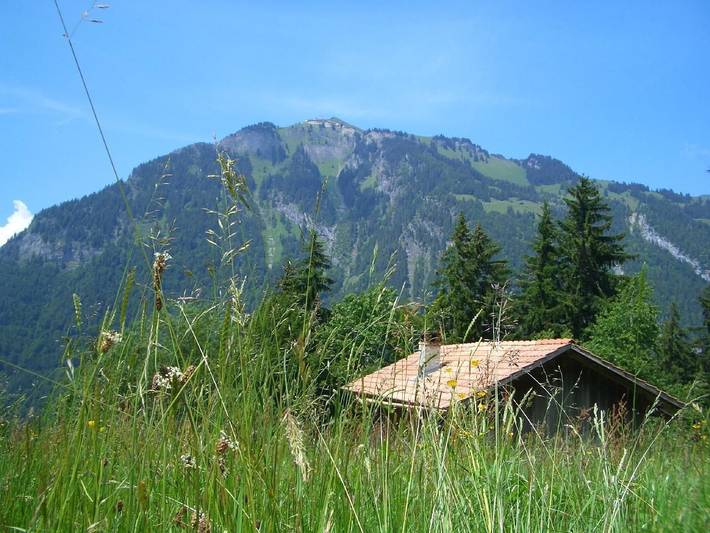 Hütte Alp Schneit für 2 Gäste / Ostern bis Oktober in Gündlischwand, Verwaltungskreis Interlaken-Oberhasli