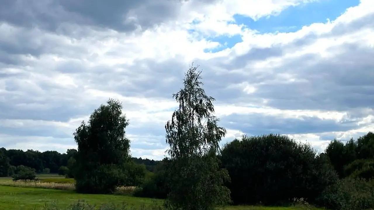 Ganze Ferienwohnung, Ferienwohnung für 3 Personen (70 m²) in Groß Düben in Groß Düben, Lausitzer Seenland