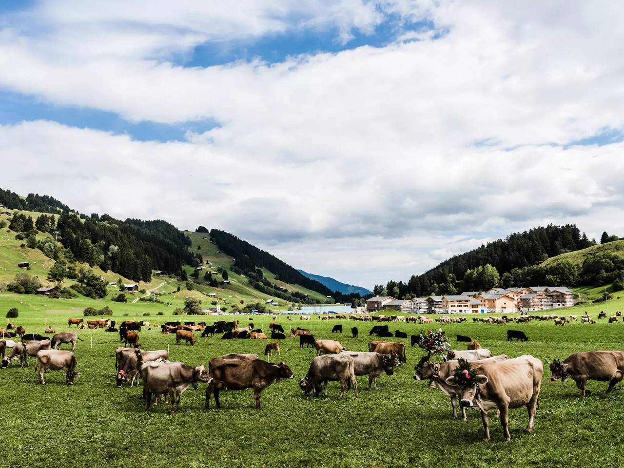 Ganze Wohnung, 3 Pièces 4 Personnes in Brigels, Alpenarena