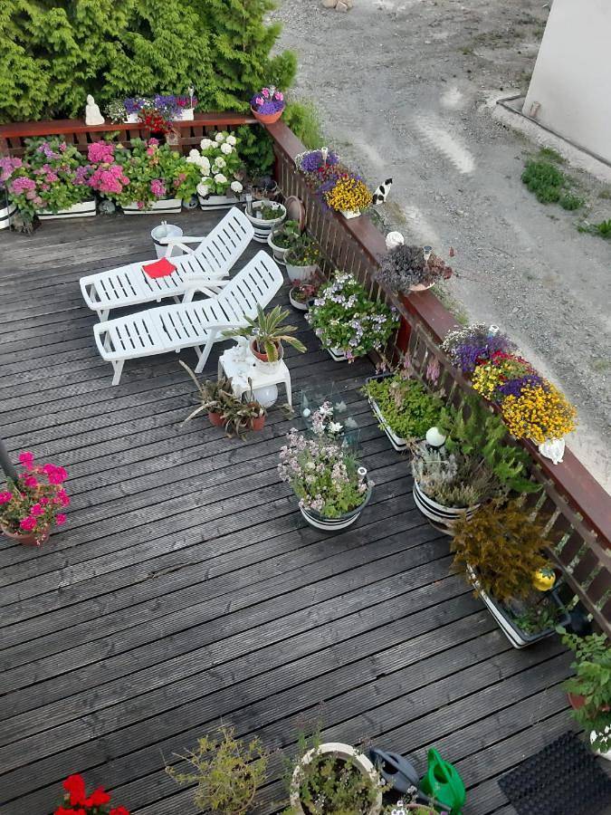 Ferienwohnung für 3 Personen, mit Terrasse in Longkamp
