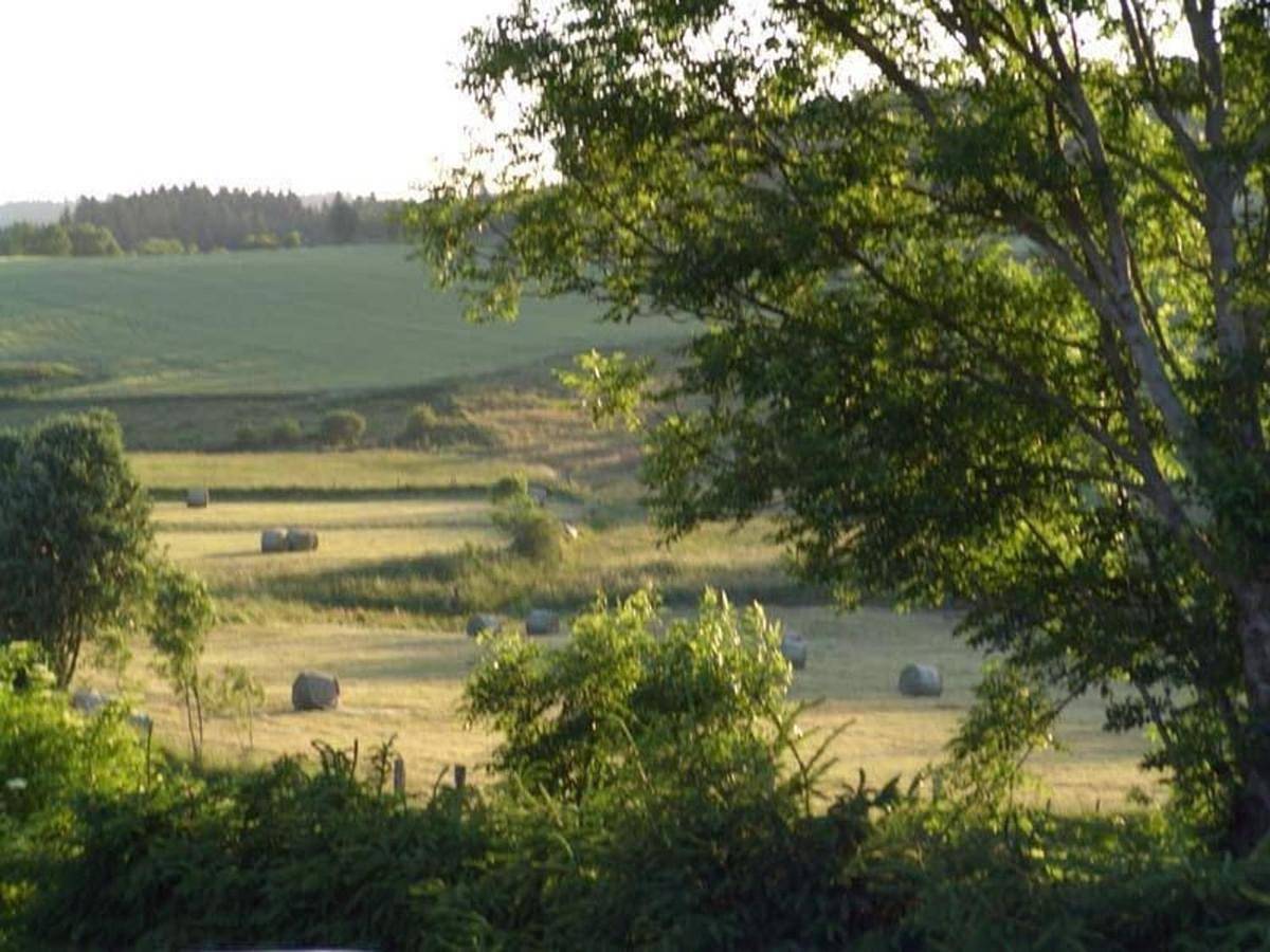Gîte familial au calme avec jeux, Vtt, randonnée, près du Parc Livradois, La Chaise-Dieu et Craponne - Fr-1-582-214 in Jullianges, Parc Naturel Régional Livradois-Forez