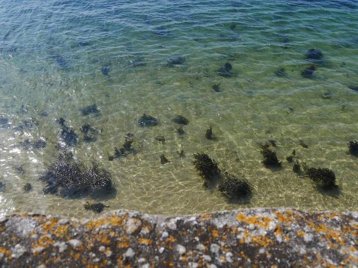 Location de vacances pour 4 personnes, avec jardin à Lannilis - 2