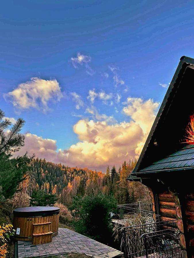 Willa dla 15 osób, z ogród i jacuzzi w Beskidy