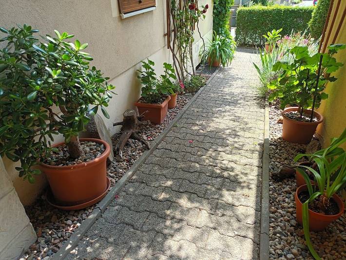 Ferienhaus für 4 Personen, mit Garten in Bad Schandau - 4