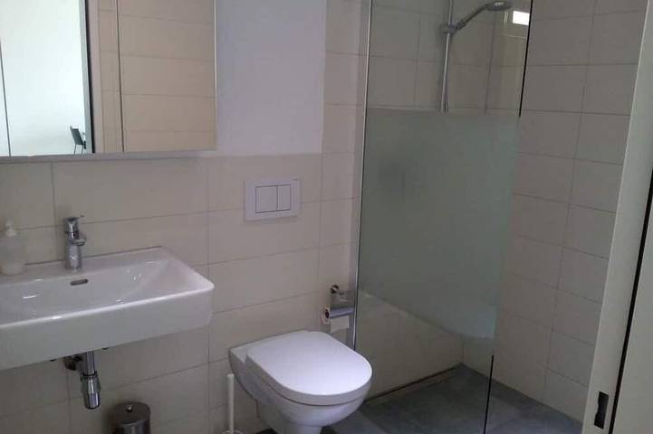 Ganze Wohnung, Smartes 1,5 Zimmer Appartement in ruhigem Mehrfamilienhaus in Au (SG), Bodensee (Schweiz)