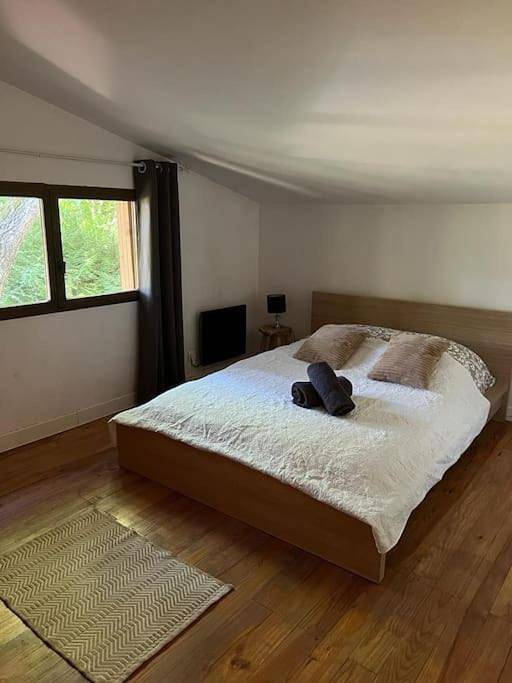 Chalet pour 13 personnes, avec jardin ainsi que jacuzzi et piscine, adapté aux familles dans Seine-et-Marne - 4