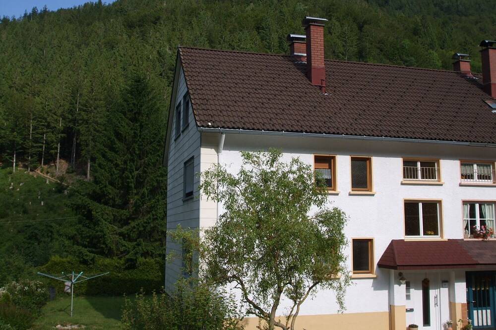 Ganze Wohnung, Ferienwohnung/App. für 5 Gäste mit 50m² in Todtnau in Brandenberg (Todtnau), Todtnau
