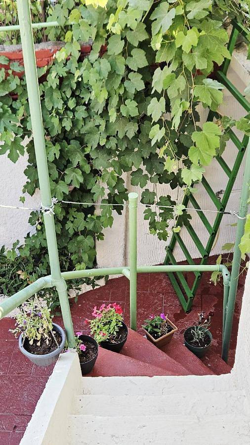 Maison d’hôte pour 2 personnes, avec jardin à Tirana - 2