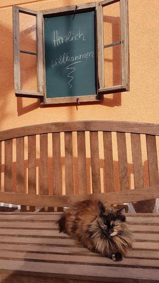Ferienwohnung für 3 Personen, mit Terrasse und Garten in Diez - 3