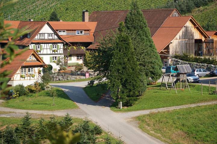 Gîte pour 3 personnes, avec jardin et terrasse, animaux acceptés à Durbach